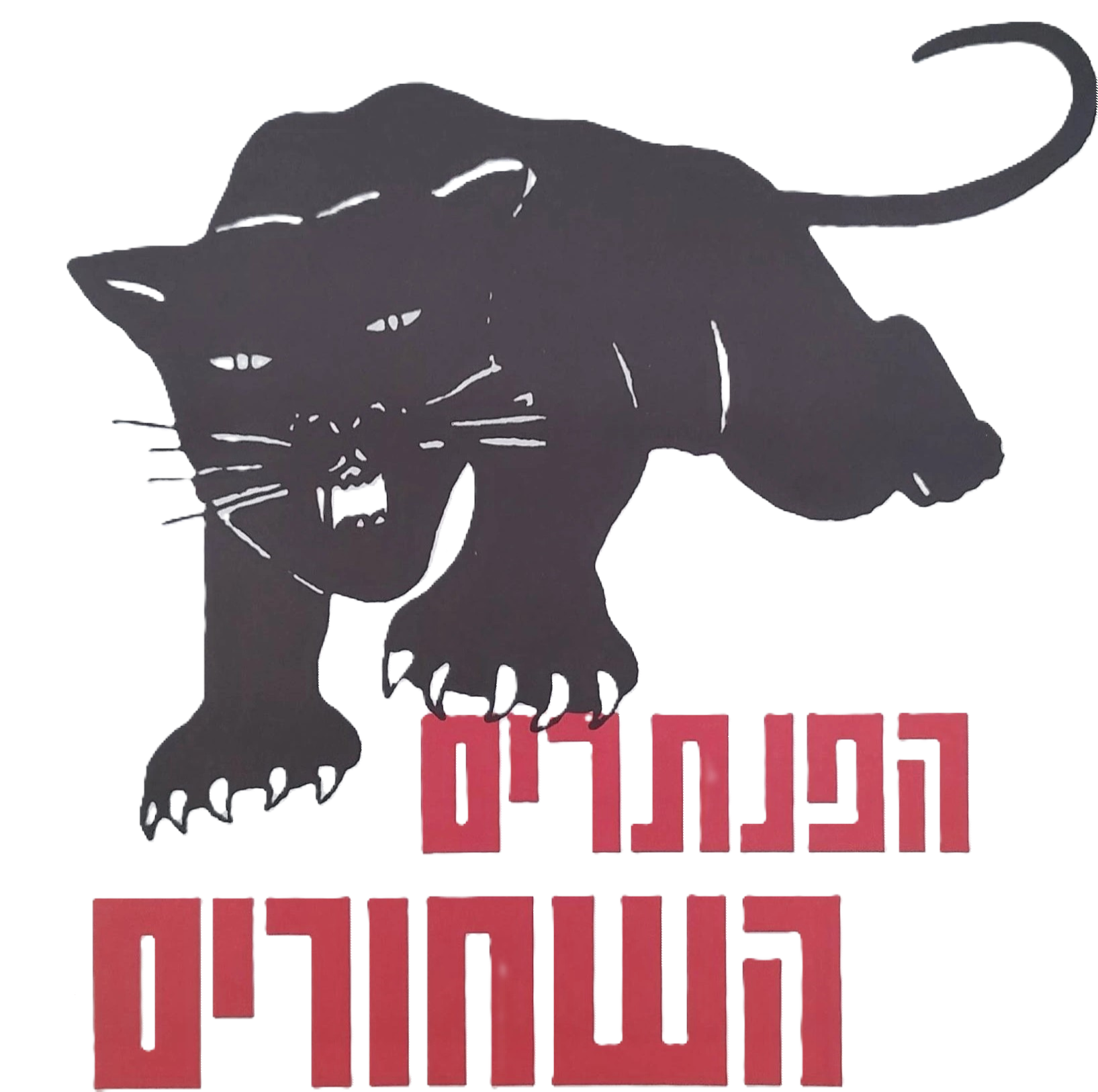 הפנתרים השחורים